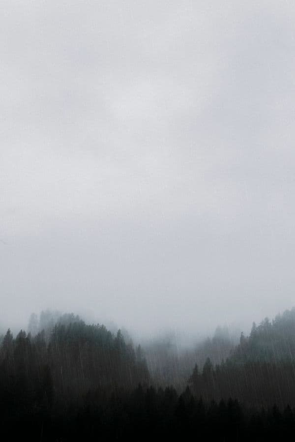 NETFLIX content available on ViviMate IPTV